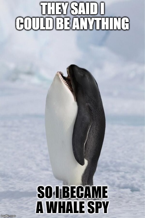 Whale Penguin | THEY SAID I COULD BE ANYTHING; SO I BECAME A WHALE SPY | image tagged in whale penguin | made w/ Imgflip meme maker