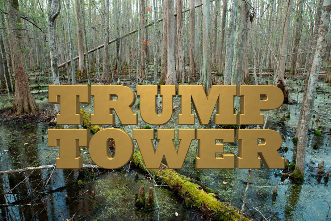 High Quality Great Dismal Swamp Trump Tower Blank Meme Template