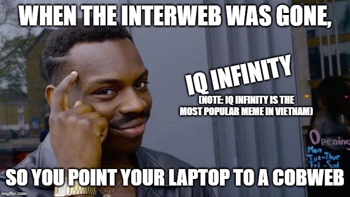 Roll Safe Think About It Meme | WHEN THE INTERWEB WAS GONE, IQ INFINITY; (NOTE: IQ INFINITY IS THE MOST POPULAR MEME IN VIETNAM); SO YOU POINT YOUR LAPTOP TO A COBWEB | image tagged in memes,roll safe think about it | made w/ Imgflip meme maker