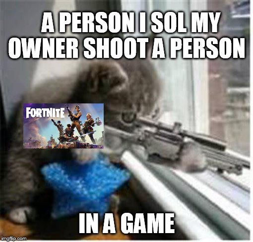 cats with guns | A PERSON I SOL MY OWNER SHOOT A PERSON; IN A GAME | image tagged in cats with guns | made w/ Imgflip meme maker