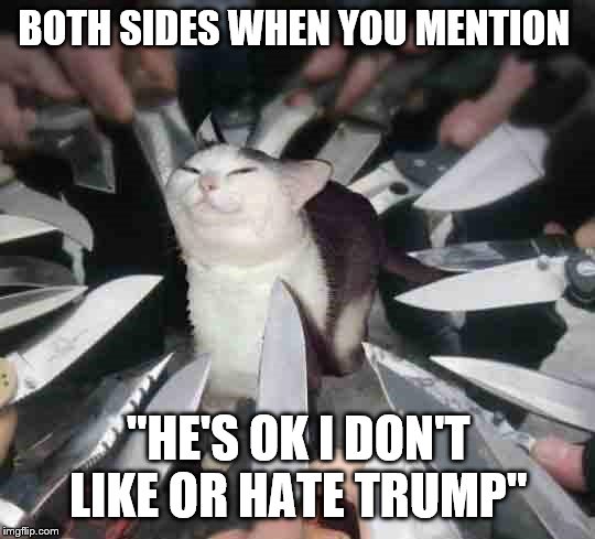 Knife Cat | BOTH SIDES WHEN YOU MENTION; "HE'S OK I DON'T LIKE OR HATE TRUMP" | image tagged in knife cat | made w/ Imgflip meme maker