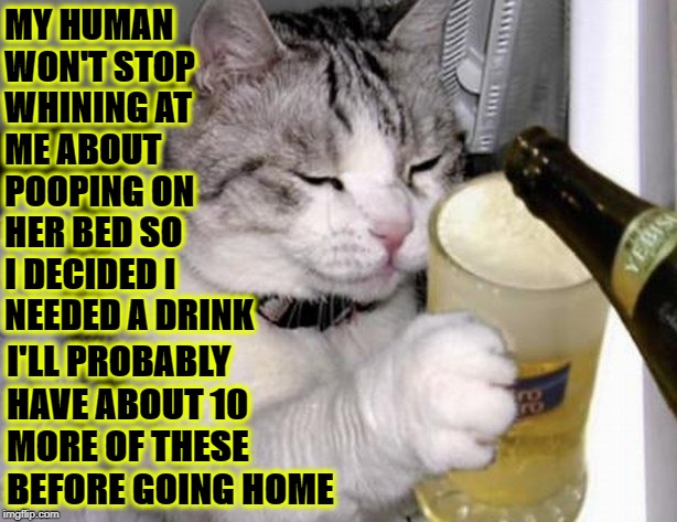I NEED A DRINK | MY HUMAN WON'T STOP WHINING AT ME ABOUT POOPING ON HER BED SO I DECIDED I NEEDED A DRINK; I'LL PROBABLY HAVE ABOUT 10 MORE OF THESE BEFORE GOING HOME | image tagged in i need a drink | made w/ Imgflip meme maker