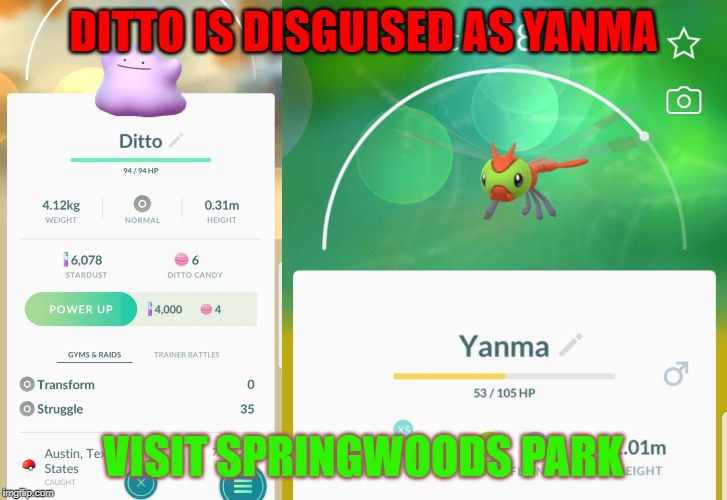 DITTO IS DISGUISED AS YANMA; VISIT SPRINGWOODS PARK | image tagged in pokemon go,ditto | made w/ Imgflip meme maker