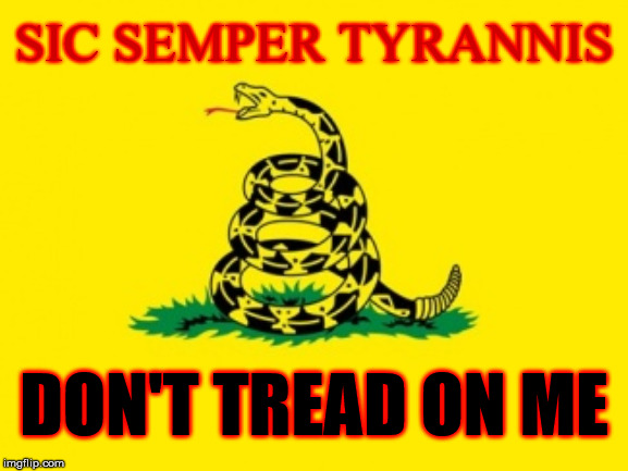Gadsden Flag | SIC SEMPER TYRANNIS; DON'T TREAD ON ME | image tagged in gadsden flag | made w/ Imgflip meme maker