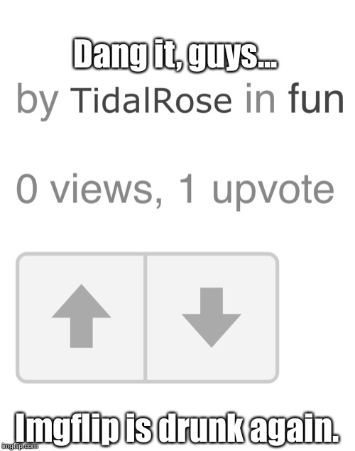 What the heck... | Dang it, guys... Imgflip is drunk again. | image tagged in memes,what | made w/ Imgflip meme maker