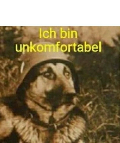 High Quality German Shepherd Blank Meme Template