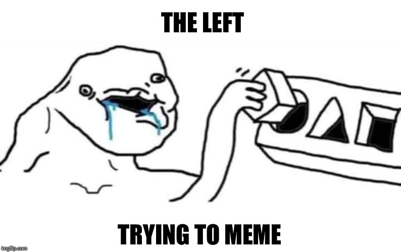 The left trying to meme | THE LEFT; TRYING TO MEME | image tagged in sad | made w/ Imgflip meme maker