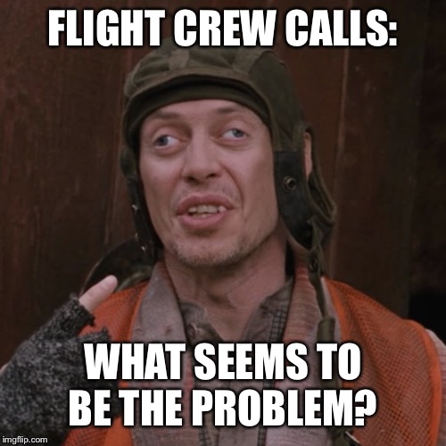 lazy eye steve | FLIGHT CREW CALLS:; WHAT SEEMS TO BE THE PROBLEM? | image tagged in lazy eye steve | made w/ Imgflip meme maker