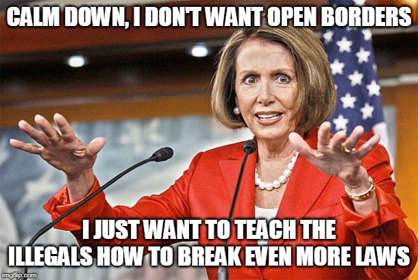 Nancy Pelosi is crazy | CALM DOWN, I DON'T WANT OPEN BORDERS; I JUST WANT TO TEACH THE ILLEGALS HOW TO BREAK EVEN MORE LAWS | image tagged in nancy pelosi is crazy | made w/ Imgflip meme maker
