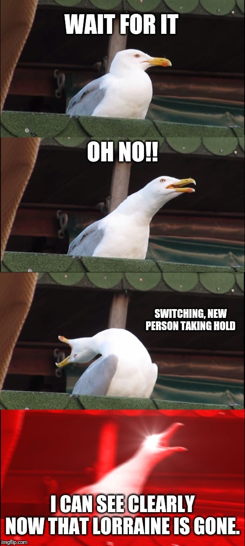 Inhaling Seagull | WAIT FOR IT; OH NO!! SWITCHING, NEW PERSON TAKING HOLD; I CAN SEE CLEARLY NOW THAT LORRAINE IS GONE. | image tagged in memes,inhaling seagull | made w/ Imgflip meme maker