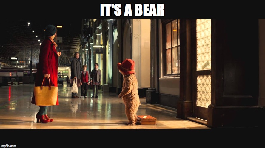 IT'S A BEAR | image tagged in film | made w/ Imgflip meme maker