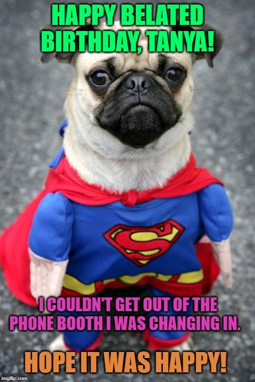Hay dere pretty lady. Super pug is here to save you with derpyne | HAPPY BELATED BIRTHDAY, TANYA! I COULDN'T GET OUT OF THE PHONE BOOTH I WAS CHANGING IN. HOPE IT WAS HAPPY! | image tagged in hay dere pretty lady super pug is here to save you with derpyne | made w/ Imgflip meme maker