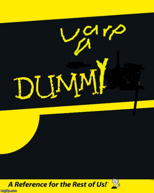 For Dummies | image tagged in for dummies | made w/ Imgflip meme maker