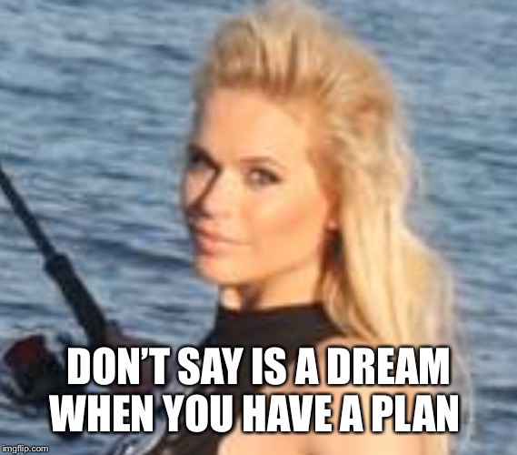 Maria Durbani | DON’T SAY IS A DREAM WHEN YOU HAVE A PLAN | image tagged in maria durbani,blonde,dream,plan,quotes,girl | made w/ Imgflip meme maker