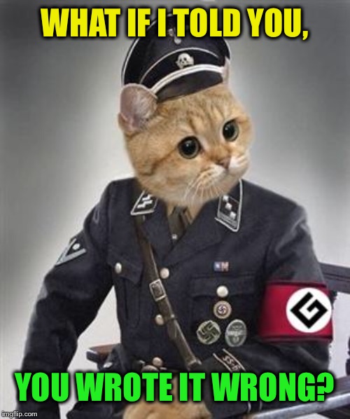 Grammar Nazi Cat | WHAT IF I TOLD YOU, YOU WROTE IT WRONG? | image tagged in grammar nazi cat | made w/ Imgflip meme maker