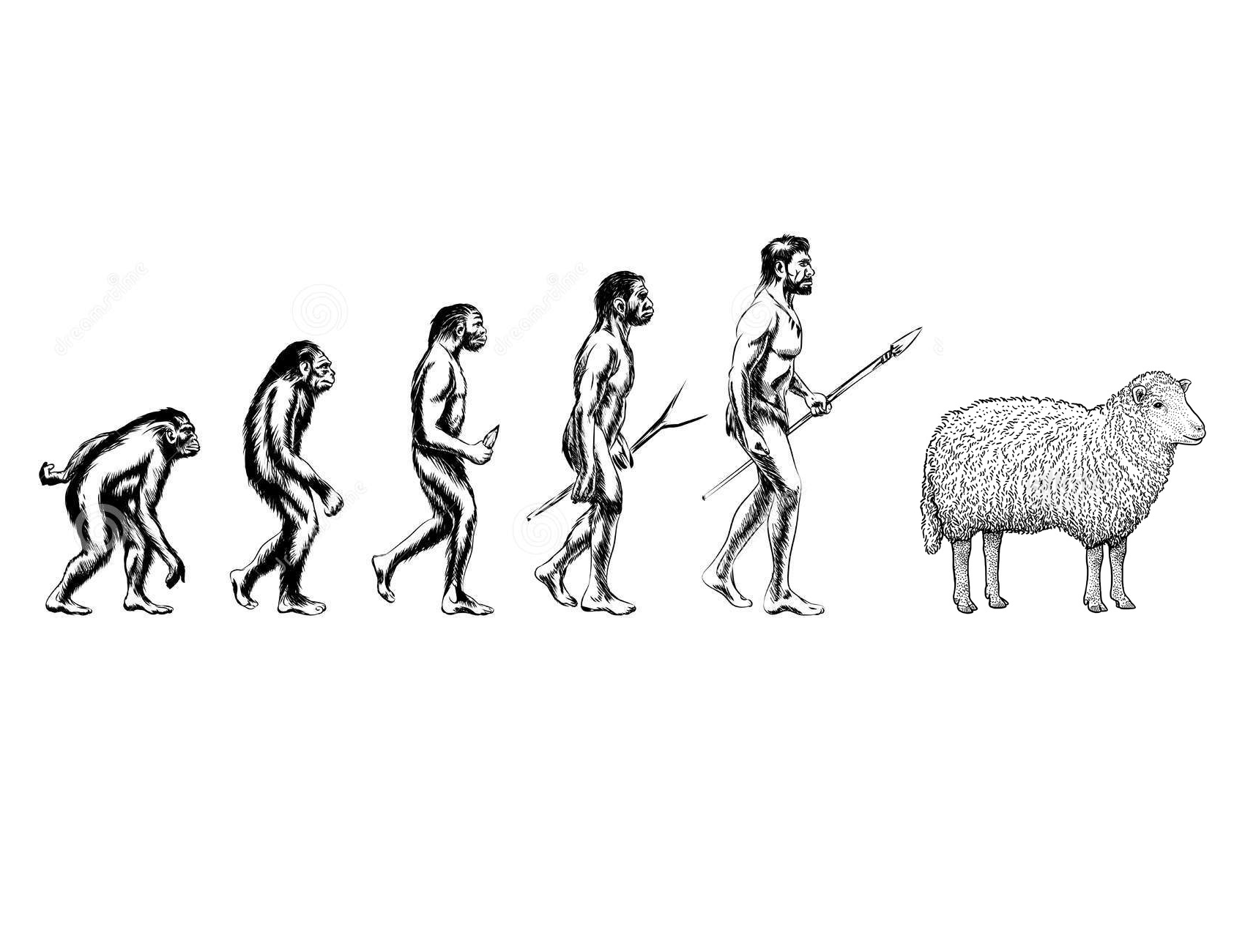 High Quality Human Sheep Evolution Blank Meme Template
