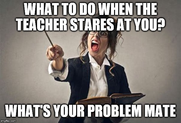 Education Memes #4 | WHAT TO DO WHEN THE TEACHER STARES AT YOU? WHAT'S YOUR PROBLEM MATE | image tagged in funny memes,memes,funny,cool,unhelpful high school teacher,animals | made w/ Imgflip meme maker