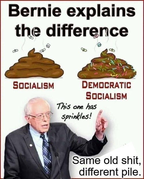 Socialism vs. Democratic Socialism | Same old shit, different pile. | image tagged in bernie sanders,feel the bern,socialism,democratic socialism,cultural marxism,communism socialism | made w/ Imgflip meme maker