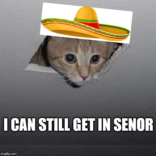 Ceiling Cat Meme | I CAN STILL GET IN SENOR | image tagged in memes,ceiling cat | made w/ Imgflip meme maker