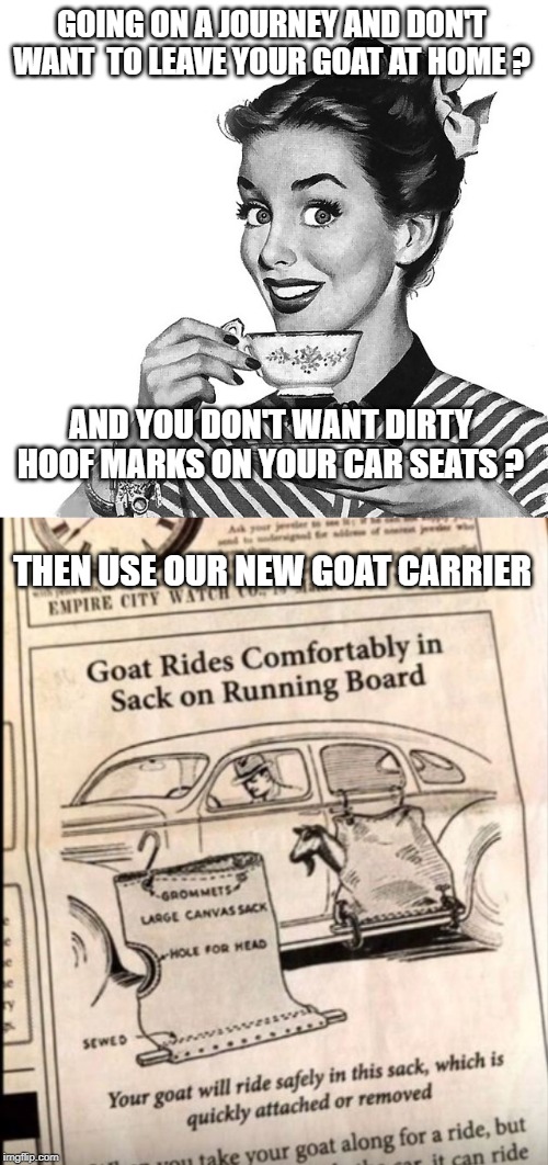 your goat need never be lonely again ! | GOING ON A JOURNEY AND DON'T WANT  TO LEAVE YOUR GOAT AT HOME ? AND YOU DON'T WANT DIRTY HOOF MARKS ON YOUR CAR SEATS ? THEN USE OUR NEW GOAT CARRIER | image tagged in goat,journey | made w/ Imgflip meme maker