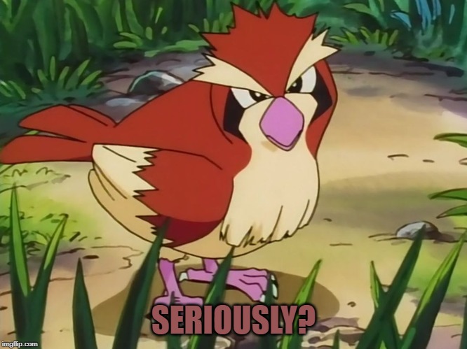 Pidgey is tired of everyone's bullshit. | SERIOUSLY? | image tagged in pidgey,seriously face | made w/ Imgflip meme maker