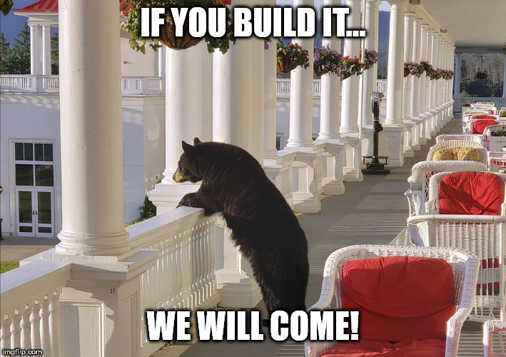 Balcony Bear | IF YOU BUILD IT... WE WILL COME! | image tagged in balcony bear | made w/ Imgflip meme maker