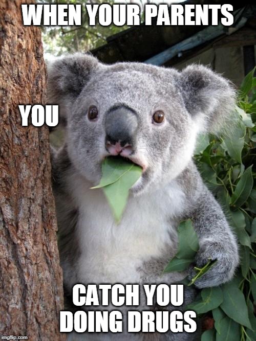 Surprised Koala | WHEN YOUR PARENTS; YOU; CATCH YOU DOING DRUGS | image tagged in memes,surprised koala | made w/ Imgflip meme maker