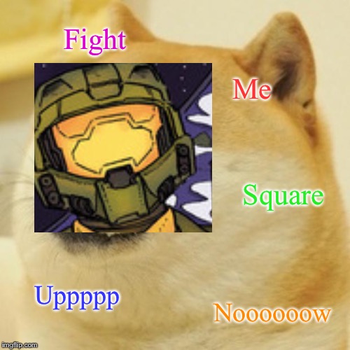 Doge | Fight; Me; Square; Uppppp; Noooooow | image tagged in memes,doge | made w/ Imgflip meme maker