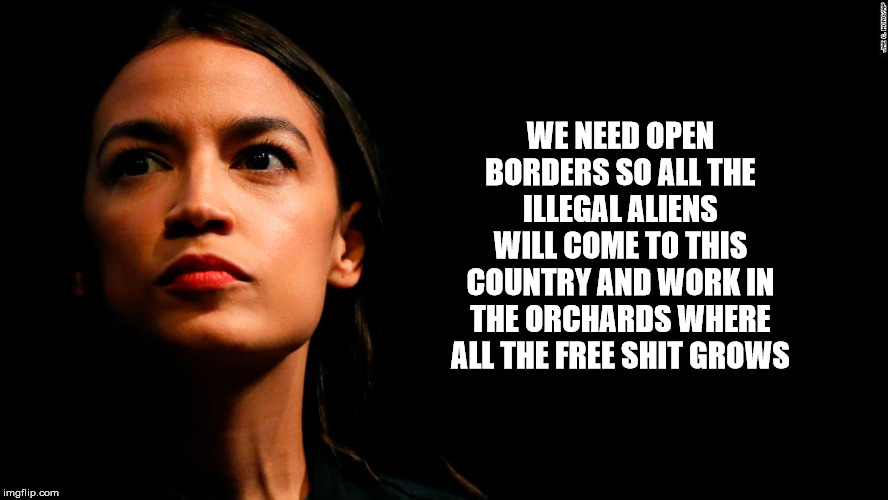 ocasio-cortez super genius | WE NEED OPEN BORDERS SO ALL THE ILLEGAL ALIENS WILL COME TO THIS COUNTRY AND WORK IN THE ORCHARDS WHERE ALL THE FREE SHIT GROWS | image tagged in ocasio-cortez super genius | made w/ Imgflip meme maker