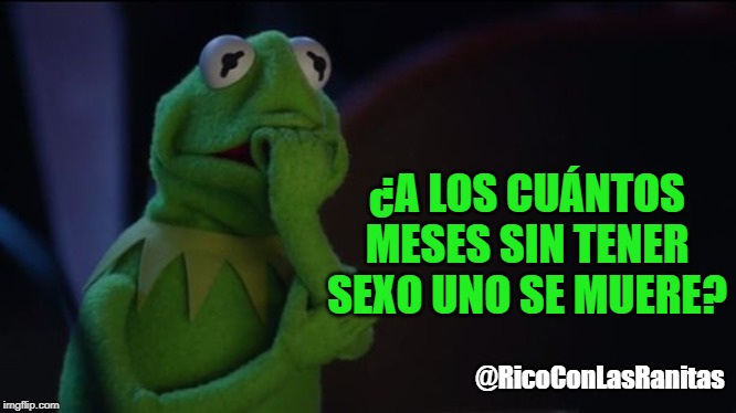 Kermit worried face | ¿A LOS CUÁNTOS MESES SIN TENER SEXO UNO SE MUERE? @RicoConLasRanitas | image tagged in kermit worried face | made w/ Imgflip meme maker