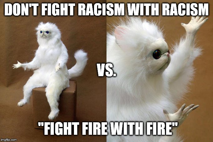 Fight fire with fire? |  DON'T FIGHT RACISM WITH RACISM; VS. "FIGHT FIRE WITH FIRE" | image tagged in memes,persian cat room guardian,racism,war cat | made w/ Imgflip meme maker