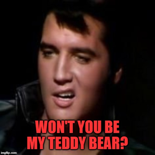 Elvis, thank you | WON'T YOU BE MY TEDDY BEAR? | image tagged in elvis thank you | made w/ Imgflip meme maker