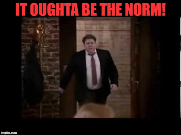 Norm | IT OUGHTA BE THE NORM! | image tagged in norm | made w/ Imgflip meme maker