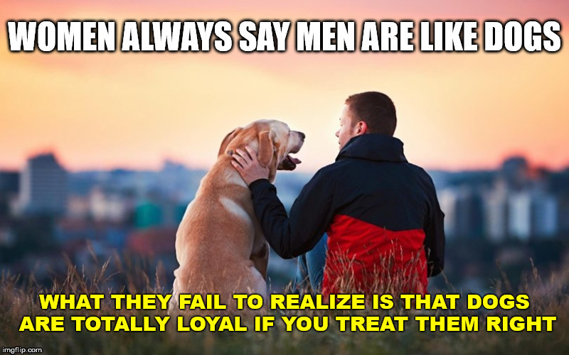Loyal if treated right | image tagged in frontpage | made w/ Imgflip meme maker