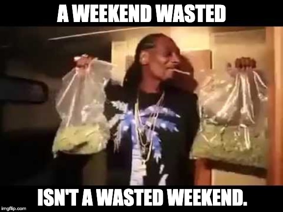 Snoop Dope | A WEEKEND WASTED; ISN'T A WASTED WEEKEND. | image tagged in snoop dope | made w/ Imgflip meme maker