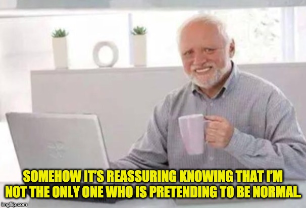 Harold | SOMEHOW IT’S REASSURING KNOWING THAT I’M NOT THE ONLY ONE WHO IS PRETENDING TO BE NORMAL. | image tagged in harold | made w/ Imgflip meme maker