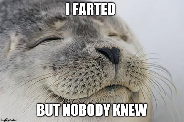 Satisfied Seal | I FARTED; BUT NOBODY KNEW | image tagged in memes,satisfied seal | made w/ Imgflip meme maker