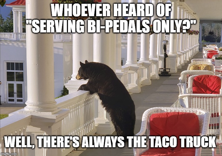 Balcony Bear | WHOEVER HEARD OF "SERVING BI-PEDALS ONLY?"; WELL, THERE'S ALWAYS THE TACO TRUCK | image tagged in balcony bear | made w/ Imgflip meme maker