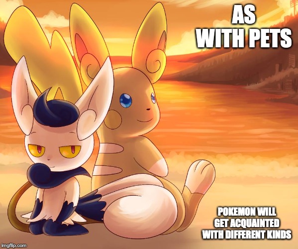 Alola Pikachu With Female Meowstic | AS WITH PETS; POKEMON WILL GET ACQUAINTED WITH DIFFERENT KINDS | image tagged in pikachu,meowstic,pokemon,memes | made w/ Imgflip meme maker