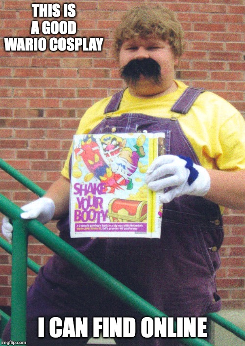 Wario Cosplay | THIS IS A GOOD WARIO COSPLAY; I CAN FIND ONLINE | image tagged in cosplay,wario,memes | made w/ Imgflip meme maker
