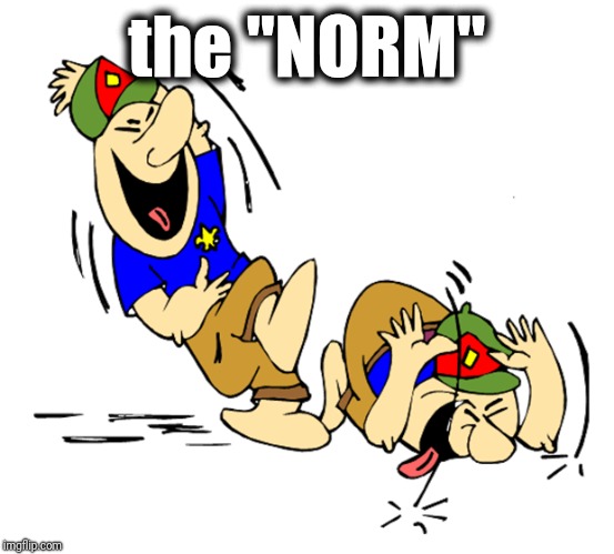 lol | the "NORM" | image tagged in lol | made w/ Imgflip meme maker