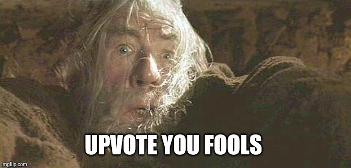 Gandalf Fly You Fools | UPVOTE YOU FOOLS | image tagged in gandalf fly you fools | made w/ Imgflip meme maker