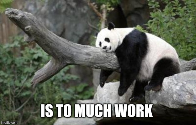 lazy panda | IS TO MUCH WORK | image tagged in lazy panda | made w/ Imgflip meme maker