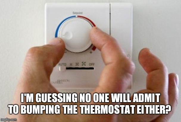thermostat air conditioner heater | I'M GUESSING NO ONE WILL ADMIT TO BUMPING THE THERMOSTAT EITHER? | image tagged in thermostat air conditioner heater | made w/ Imgflip meme maker