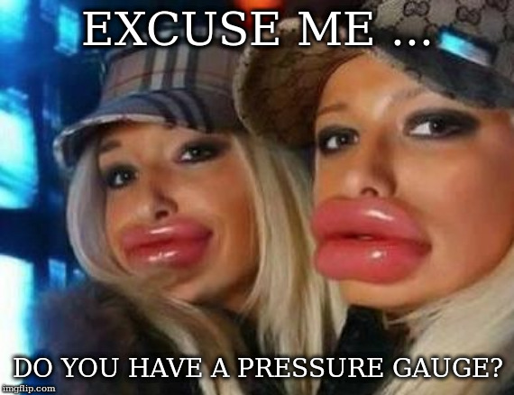 Duck Face Chicks | EXCUSE ME ... DO YOU HAVE A PRESSURE GAUGE? | image tagged in memes,duck face chicks | made w/ Imgflip meme maker