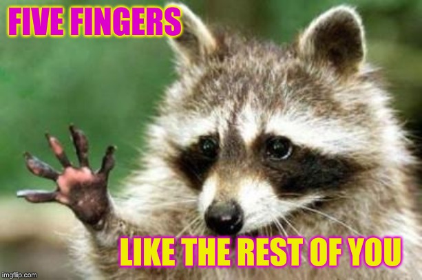 Hello raccoon | FIVE FINGERS LIKE THE REST OF YOU | image tagged in hello raccoon | made w/ Imgflip meme maker