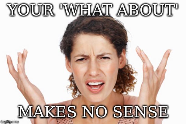 Indignant | YOUR 'WHAT ABOUT'; MAKES NO SENSE | image tagged in indignant | made w/ Imgflip meme maker