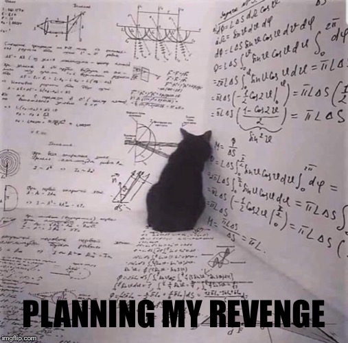 Evil Plans | PLANNING MY REVENGE | image tagged in memes,schrodinger,cat | made w/ Imgflip meme maker