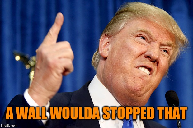 Donald Trump | A WALL WOULDA STOPPED THAT | image tagged in donald trump | made w/ Imgflip meme maker