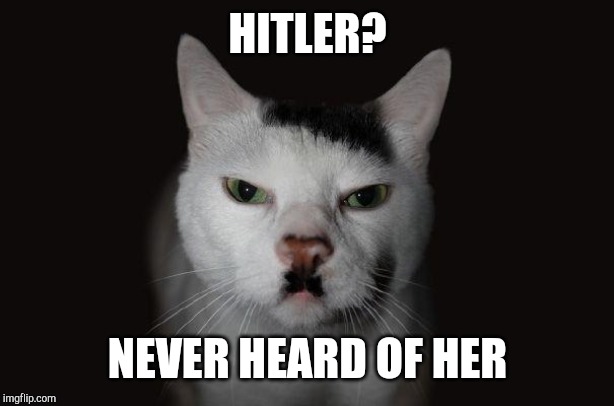 Hitler Cat | HITLER? NEVER HEARD OF HER | image tagged in hitler cat | made w/ Imgflip meme maker